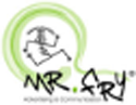 mr-fry