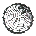 albero