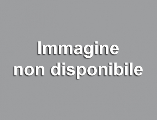 Opere Vincitrici 2026